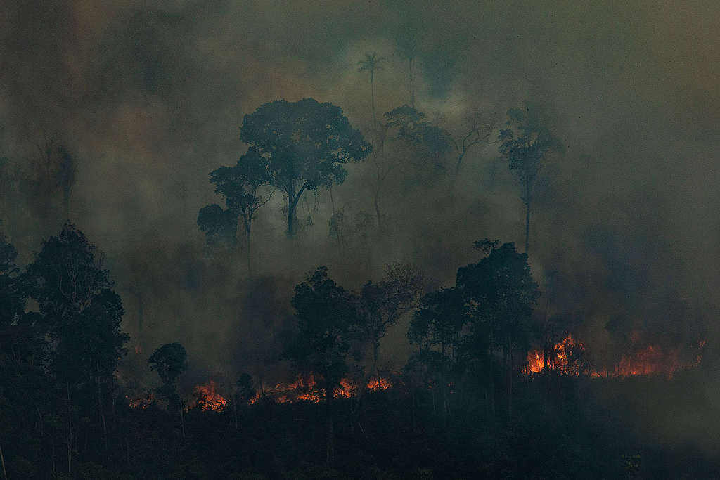 Incendio forestal