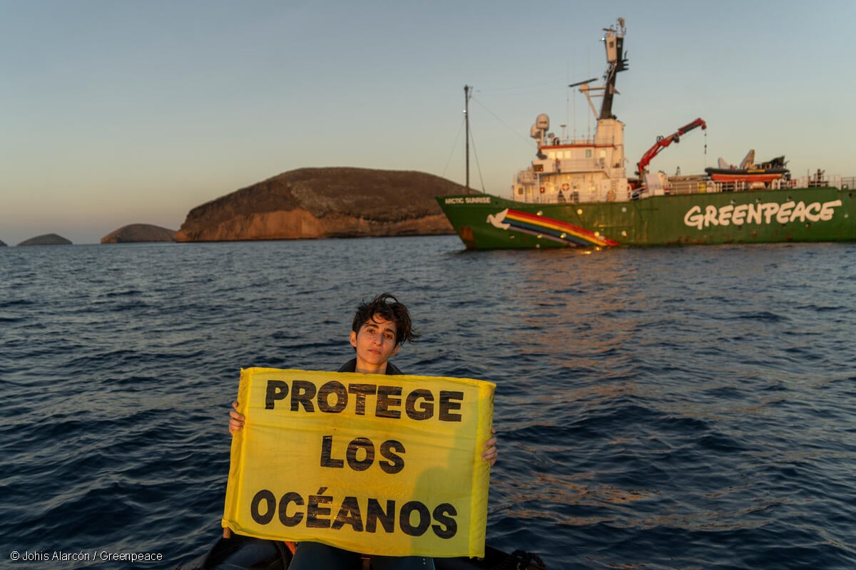 La actriz española Alba Flores sostiene una pancarta que dice "Protege los océanos" desde un RHIB cerca de la isla Santiago, parte de las Islas Galápagos. De fondo, se ve el barco Arctic Sunrise.