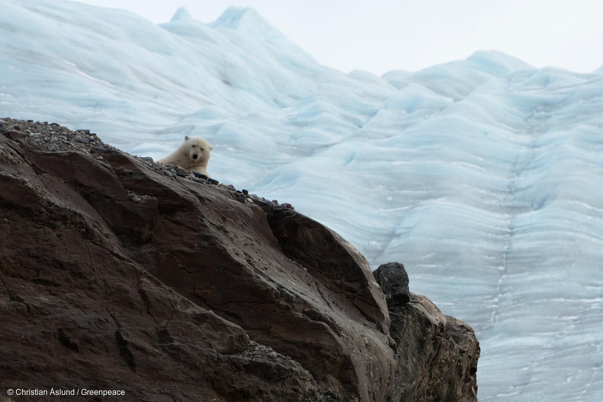 Los glaciares como escultores del paisaje: nuevo estudio científico usa Inteligencia Artificial para conocer más sobre la erosión que generan
