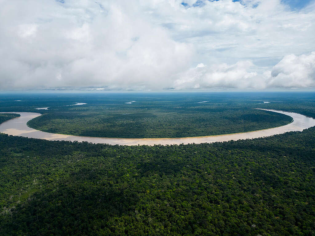 Respect the Amazon Expedition: Juruá River. © Nilmar Lage / Greenpeace