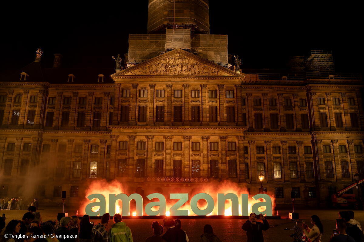 COP30 del Clima: lo que necesitas saber sobre su papel en la lucha contra el cambio climático