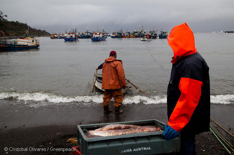 Día Mundial de la Pesca: El liderazgo y el conocimiento de la pesca en pequeña escala son vitales para garantizar océanos saludables