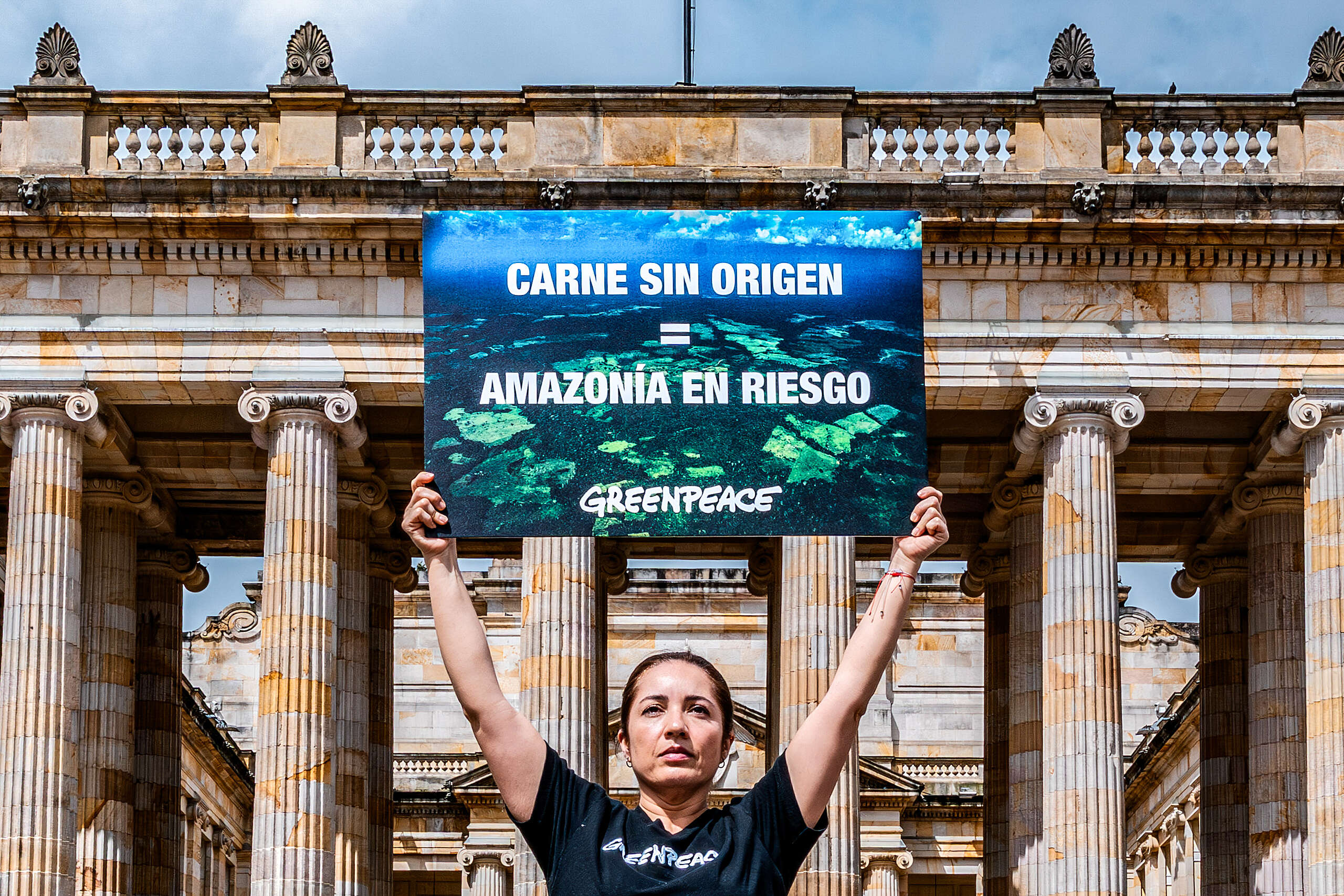 Tres Parques Nacionales Naturales de la Amazonía acumulan 95.867 hectáreas deforestadas desde 2013; Greenpeace detectó cerca de 9.000 más en 2025