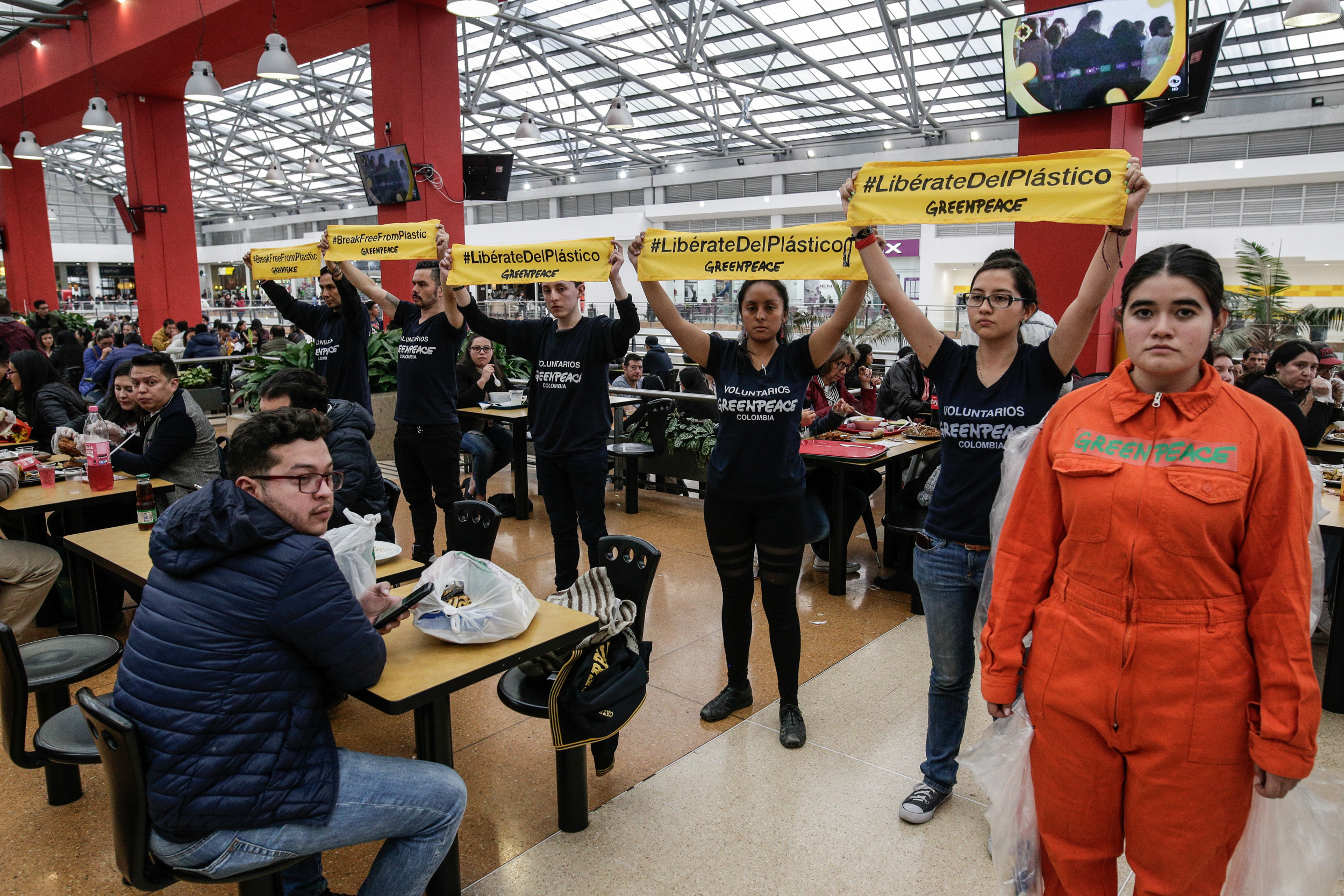 Aniversario de Greenpeace en Colombia: 17 años de acción y compromiso de tu mano