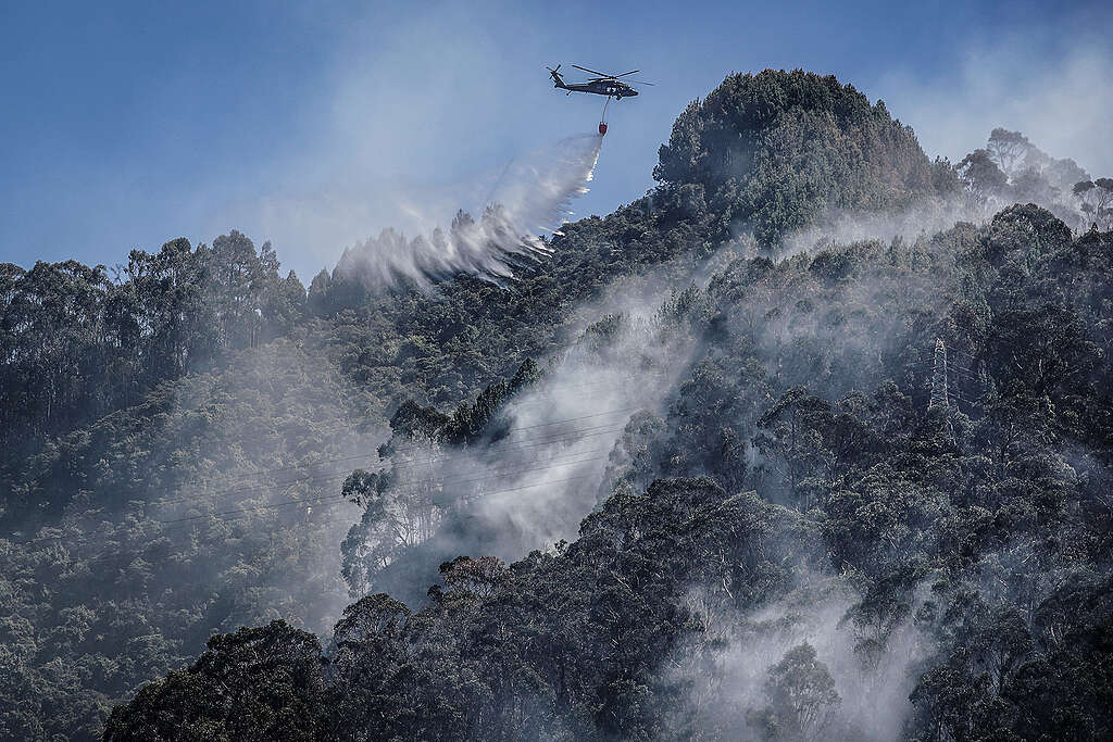 GPCO Incendios Bogotá Crédito Mariano Vimos Greenpeace (1)