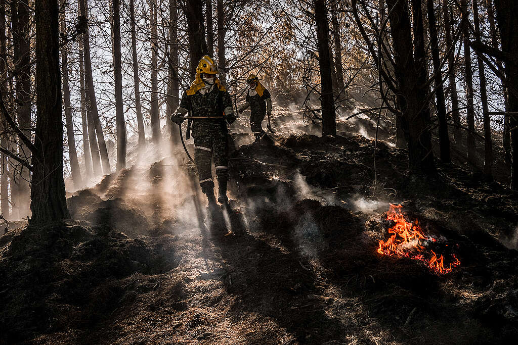GPCO Incendios Bogotá Crédito Mariano Vimos Greenpeace (6)