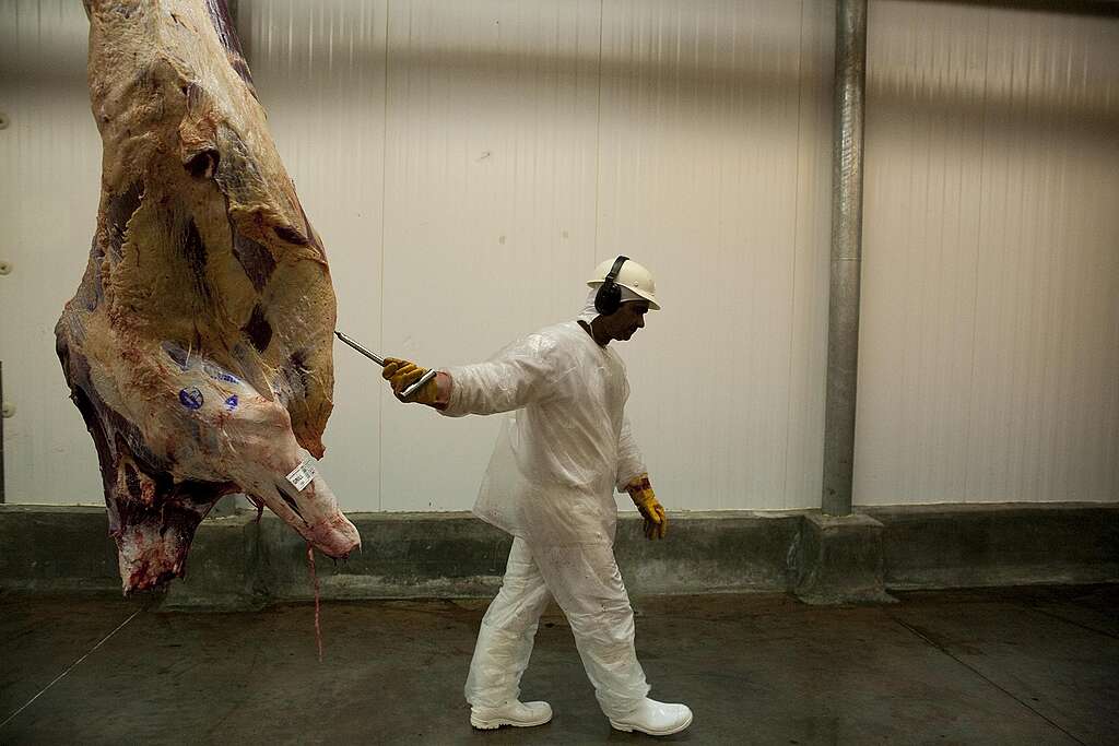 Marfrig Slaughterhouse Facilities in Brazil Un trabajador manipula carne de ganado en un matadero de Marfrig.