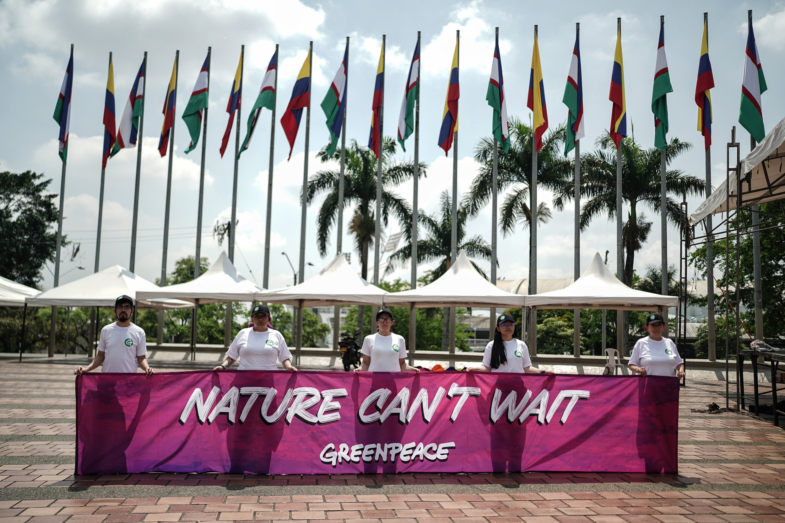 Qué es la COP17 del Convenio de las Naciones Unidas sobre la Diversidad Biológica y por qué es importante