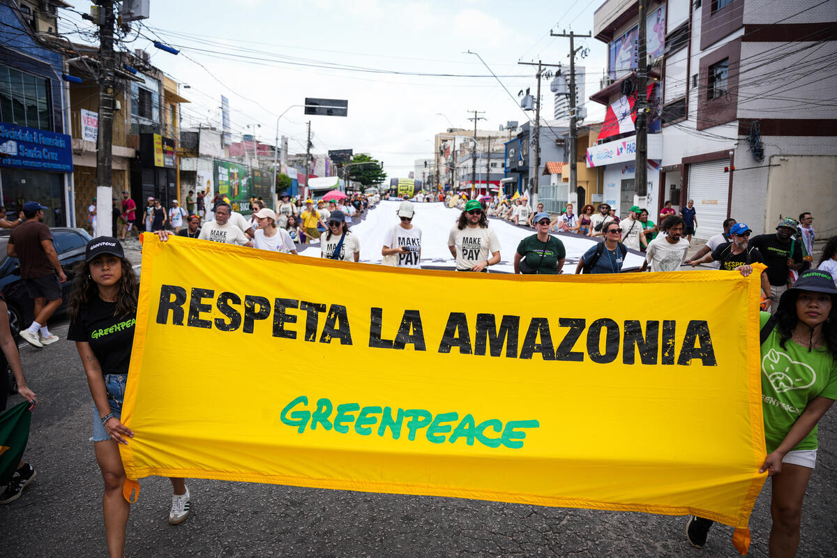 Bosques en pie, biodiversidad viva: por qué importa una ganadería libre de deforestación 