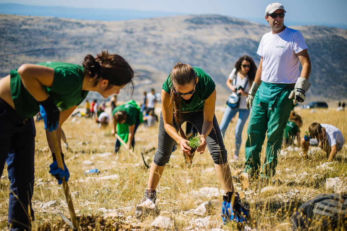 Reforestation Activity in Croatia. © Nevio  Smajic / Greenpeace