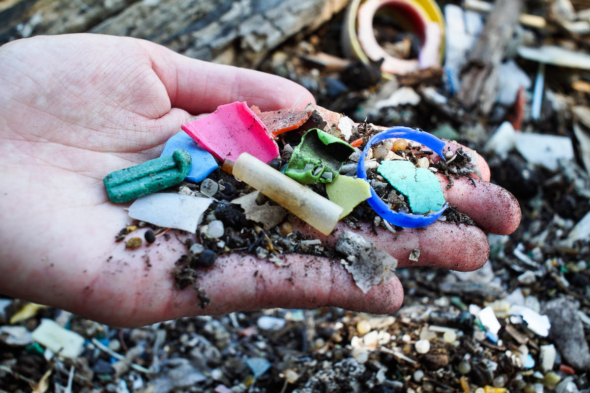 Adriatic Beach Clean-up and Brand Audit in Croatia. © Hrvoje Šimic / Greenpeace
