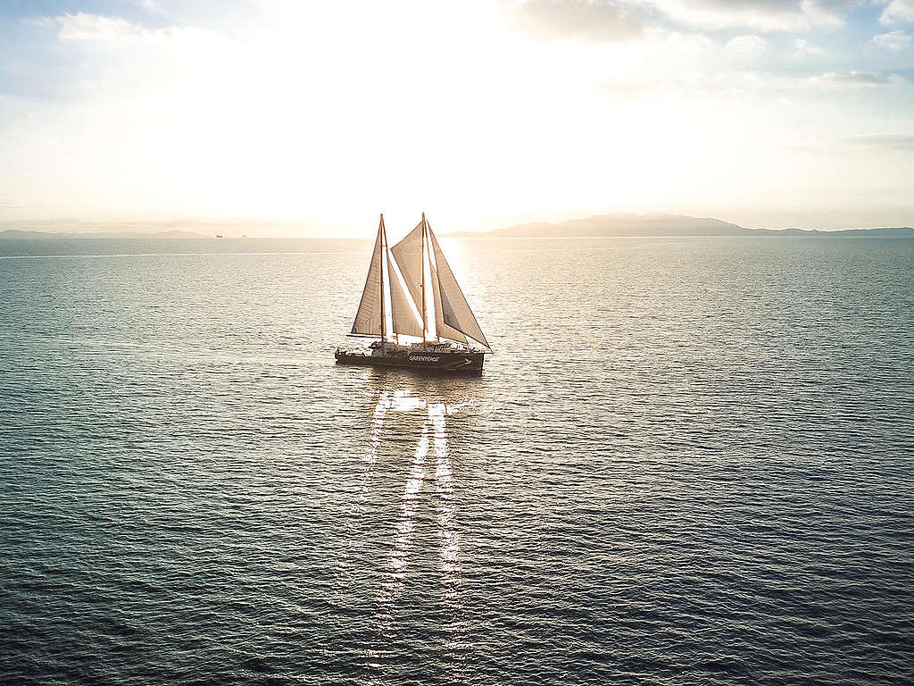 Rainbow Warrior Arrives in Auckland. © Greenpeace / Geoff Reid