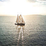 Rainbow Warrior Arrives in Auckland. © Greenpeace / Geoff Reid