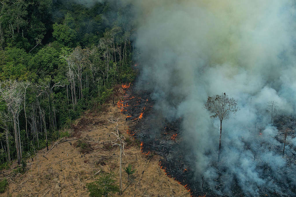 Forest Fires in Candeiras do Jamari, Amazon - Second Overflight (2019). © Victor Moriyama / Greenpeace