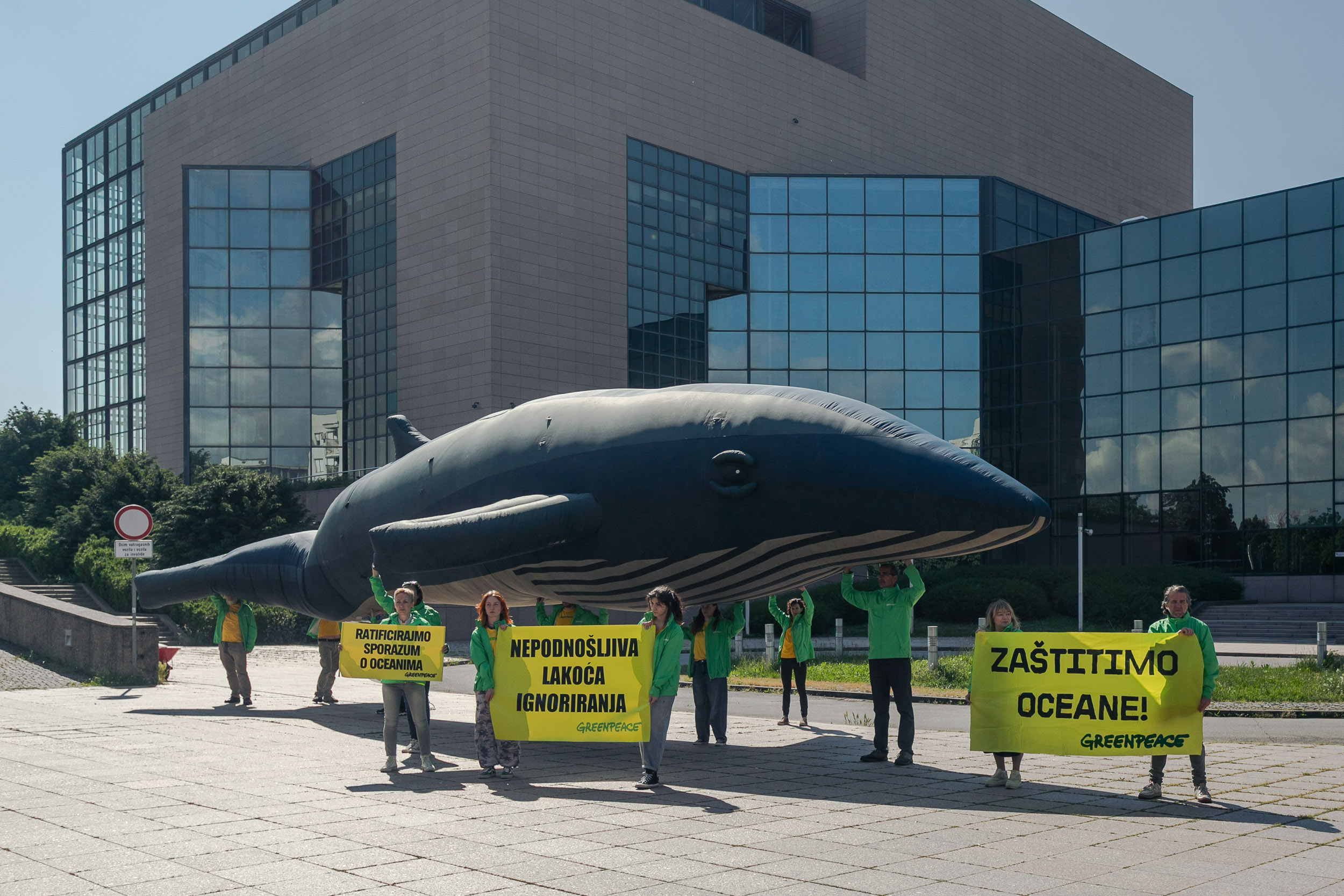 Divovski kit pred NSK-om: Greenpeace traži očitovanje Vlade po pitanju oceana
