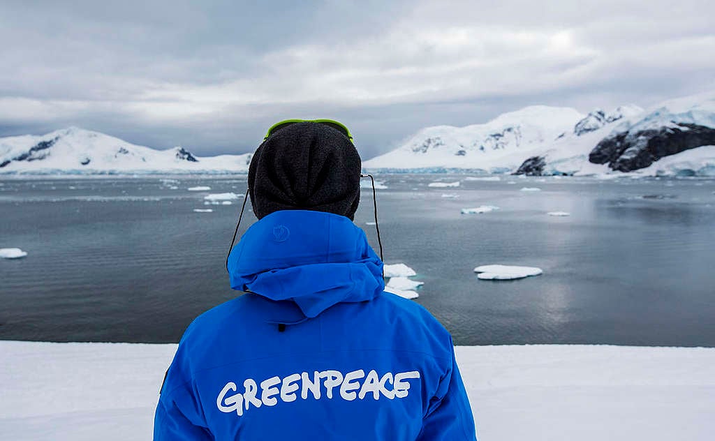 Sarah Scharf in the Antarctic. © Paul Hilton