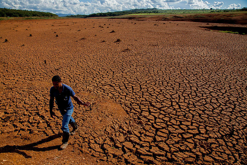 Dried Out Land in Brazil. © Gabriel Lindoso / Greenpeace Dried Out Land in Brazil. © Gabriel Lindoso / Greenpeace