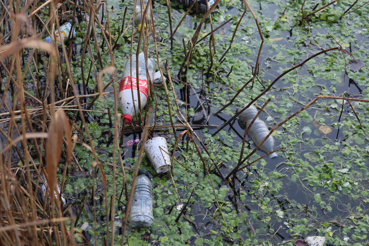 Plastic and Wildlife on the River Lea, UK. © Isabelle Povey / Greenpeace