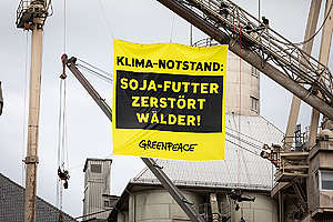 Protest against Ship with Soya Feed in Brake, Germany. © Daniel Müller / Greenpeace