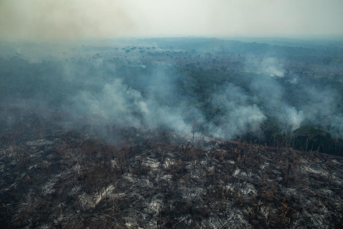 Forest Fires in Altamira, Pará, Amazon (2019). © Victor Moriyama / Greenpeace