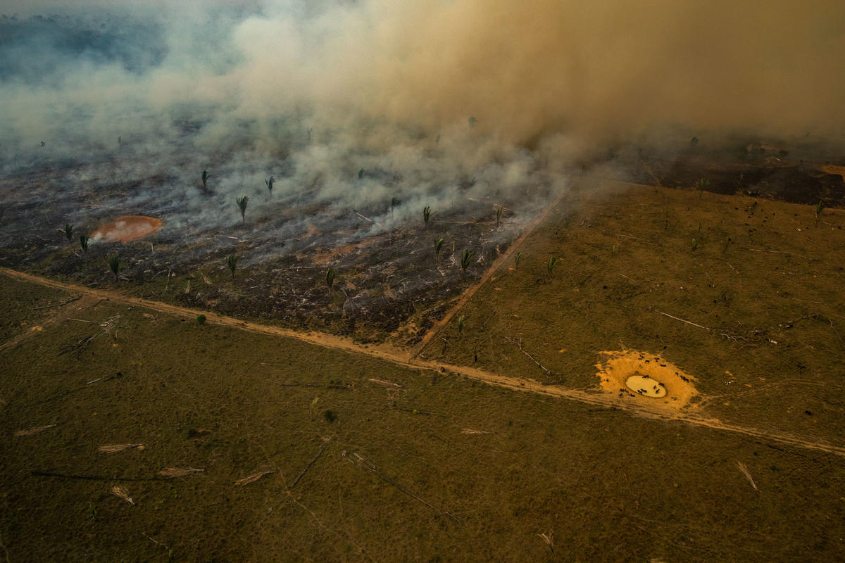 Porto Velho, Rondonia, Brazílie: Letecký pohled na spálené oblasti v amazonském deštném pralese. © Victor Moriyama / Greenpeace