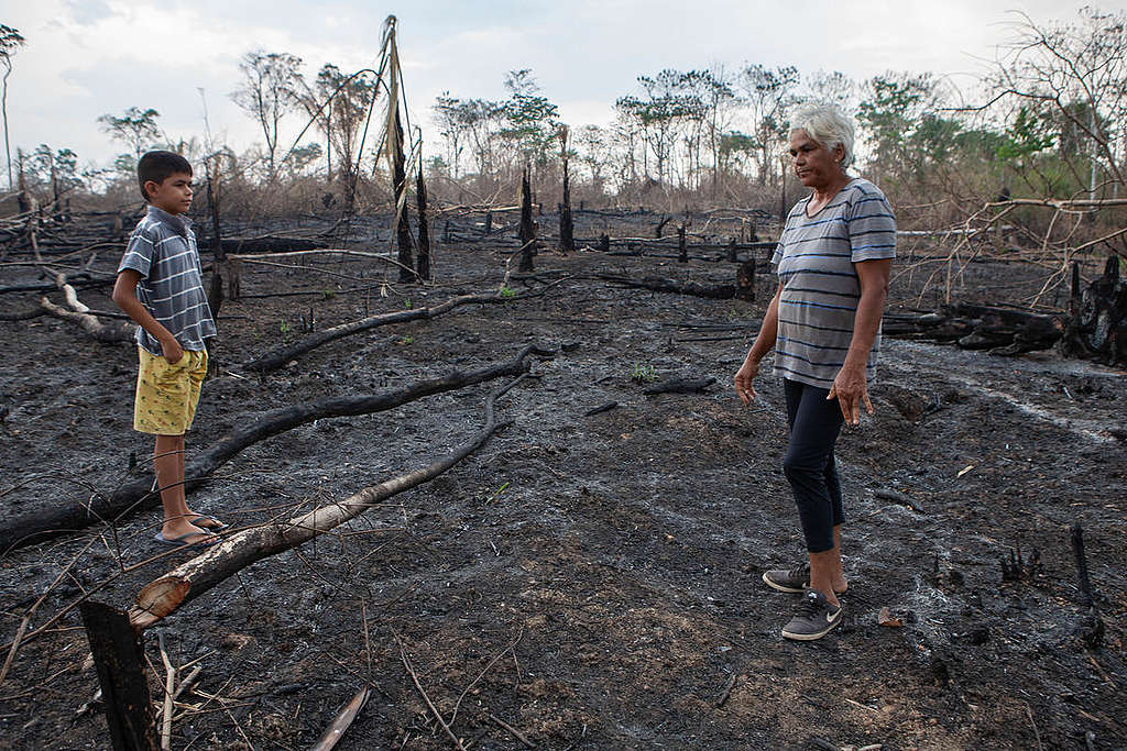 Organic Farmer and Remains of Forest Fires in Acre. © Denisa Šterbová / Greenpeace