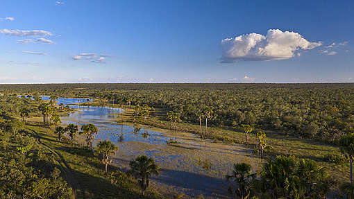 Landscape in the Cerrado Region in Brazil. © Marizilda Cruppe / Greenpeace