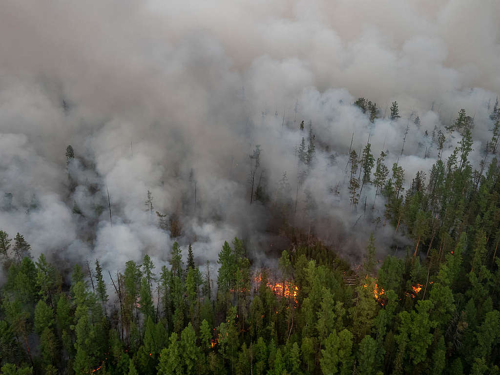Forest Fires near Irkutsk Region in Russia. © Igor Podgorny / Greenpeace