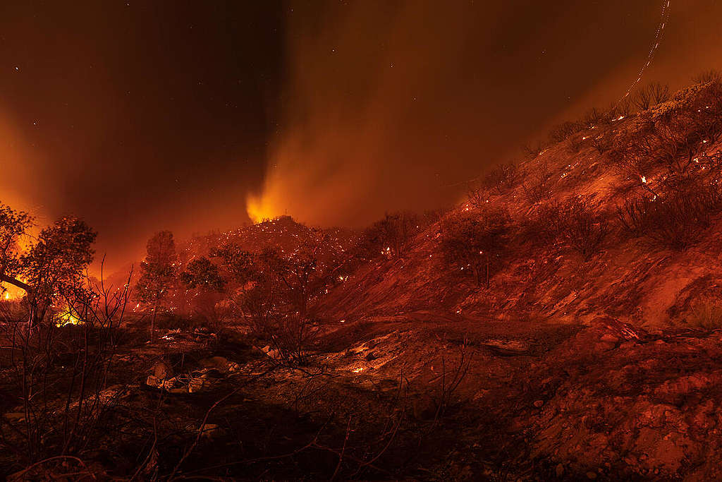   Požár Lake Fire pohlcuje křoviny a lesní porost v oblasti Lake Hughes v Kalifornii (12. srpna 2020). Během několika prvních hodin zachvátil území o rozloze přes 10.000 akrů a zničil řadu domovů a budov v oblasti Pine Canyon. © David McNew / Greenpeace