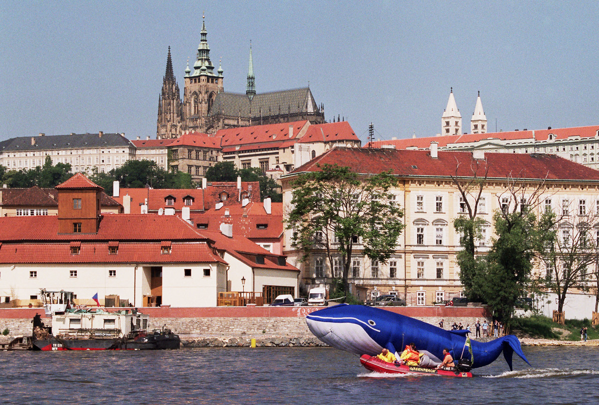 Whaling Action at Czech Parliament. © Greenpeace/Vaclav Vasku