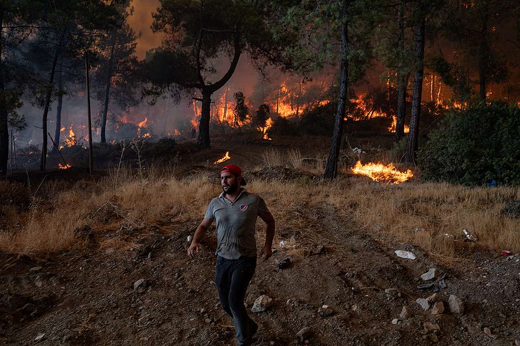 TURKEY-FIRE-ENVIRONMENT