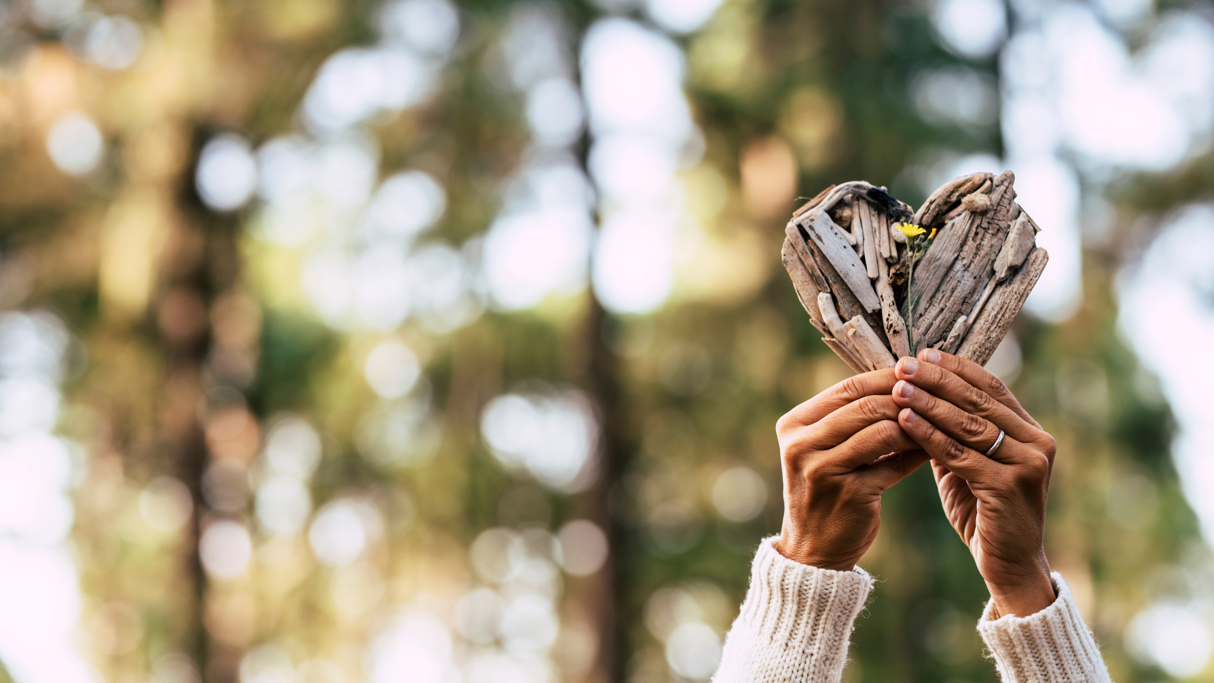 Pomáhali jste měnit budoucnost planety i v roce 2025. Děkujeme!