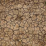 Ničivé požáry, vlny veder a sucho. Dopady klimatické krize jsou tu, co s tím?