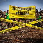 Zločin proti přírodě! Protest u firmy, která zpracovává ilegálně vytěžené dřevo