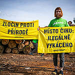 Zločin proti přírodě! Aktivisté a aktivistky Greenpeace protestovali u firmy, která zpracovává ilegálně vytěžené dřevo 