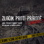 Zločin proti přírodě: Jak české firmy ničí vzácné staré lesy