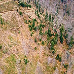Aerial drone shot of clear cuts in an old-growth forest in the Romanian Carpathians.