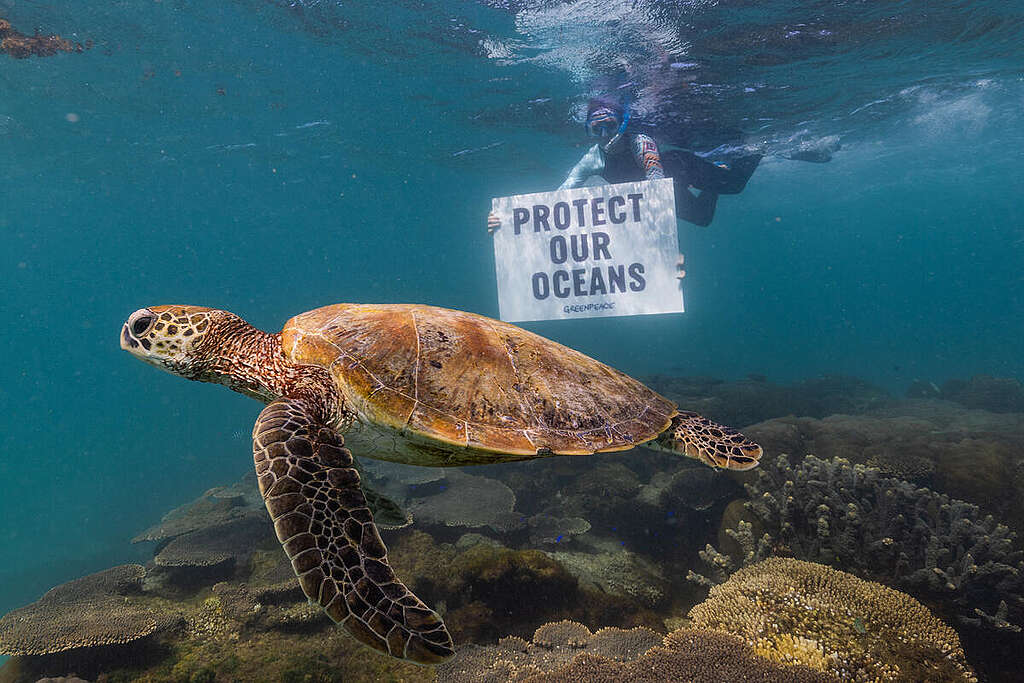 Banner in Ningaloo Reef, Exmouth, Western Australia. © Harriet Spark / Grumpy Turtle Film / Greenpeace