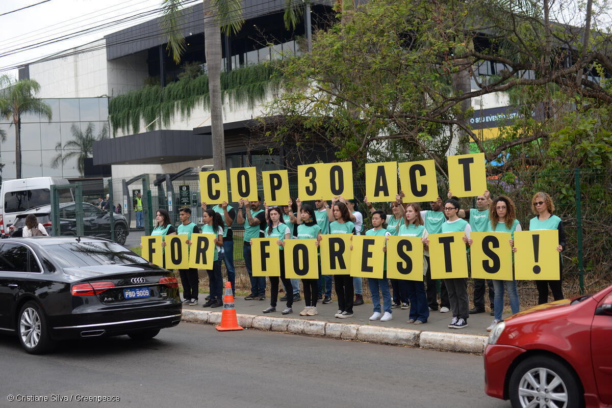 Odvážné kroky pro klima a lesy mohou z Belému udělat historickou konferenci COP30