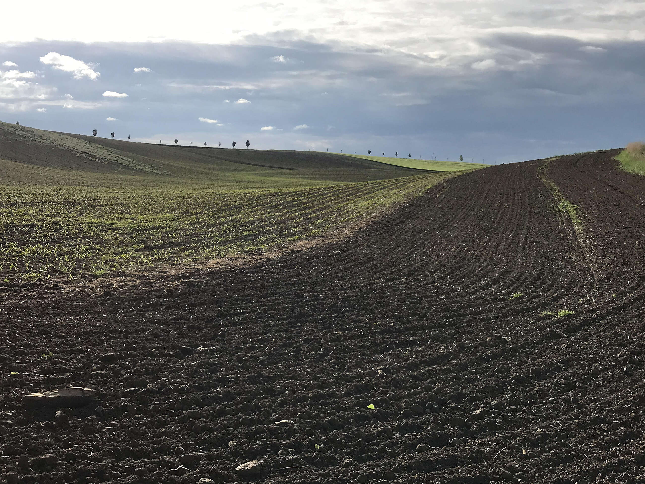 40 % zemědělských dotací EU inkasuje pouhé jedno procento příjemců. Mezi nimi i Agrofert
