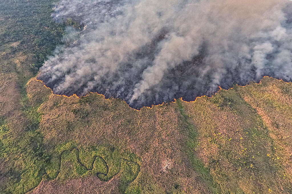 Aerial Monitoring of Fires and Deforestation in the Amazon. © Marizilda Cruppe / Greenpeace