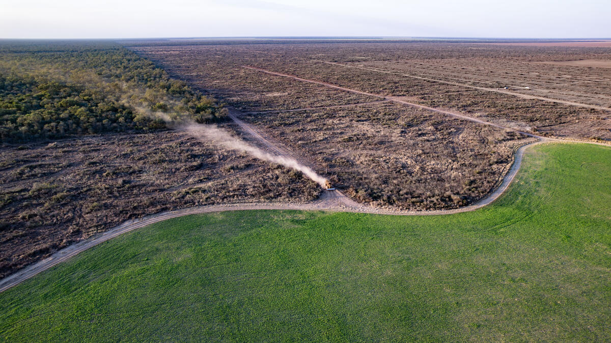 Deforestation in Chaco Province, Argentina. © Martin Katz / Greenpeace