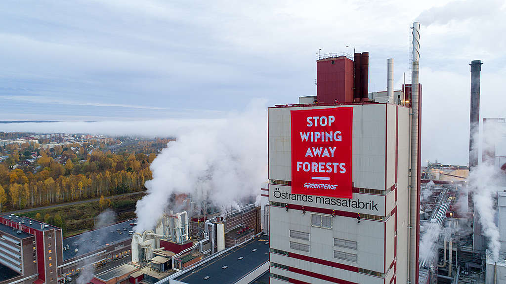 Protest at SCA’s Östrand Pulp Mill in Sweden. © Jari Stahl