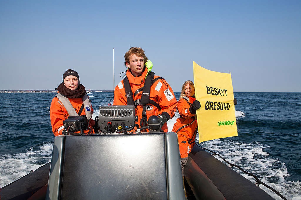 Greenpeace join flotilla for Oresund protection. © Alban Grosdidier