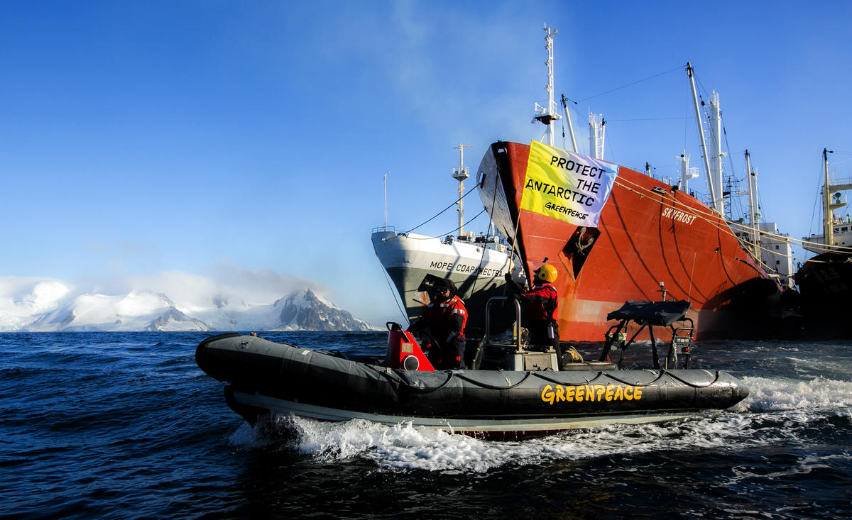 Greenpeace take Action against Antarctic Krill Industry. © Paul Hilton