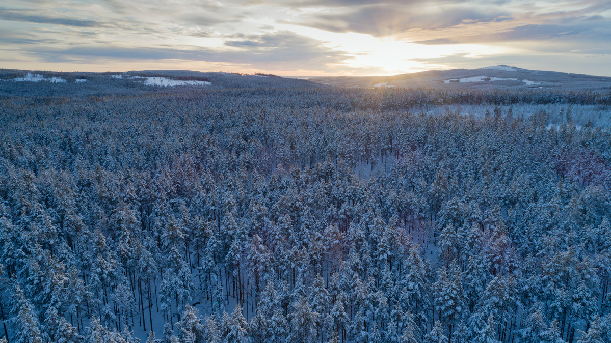 Ore Skogsrike. © Christian Åslund