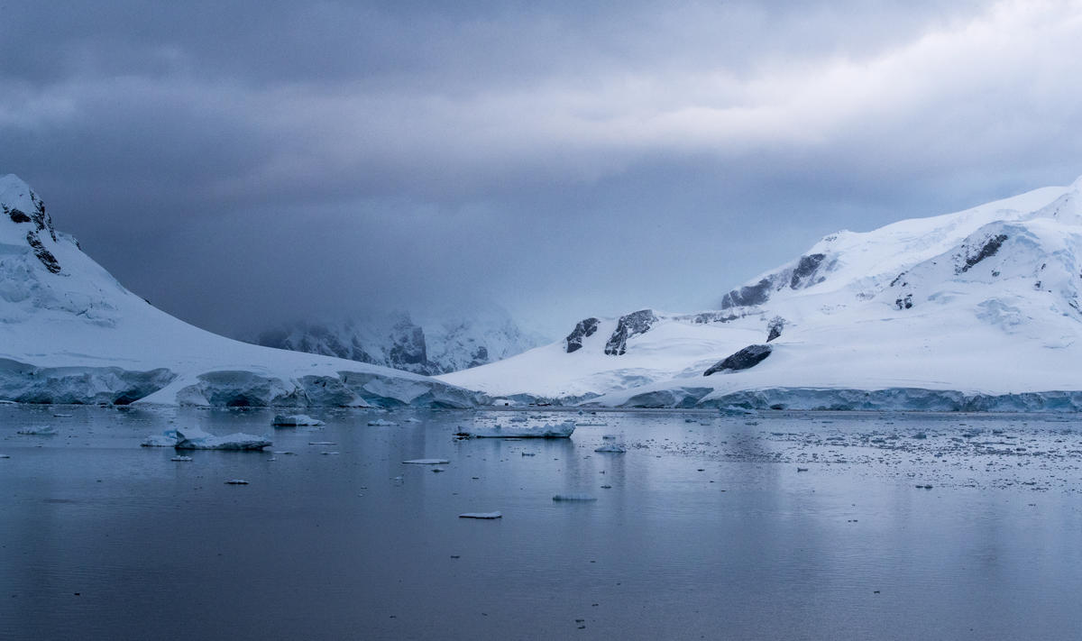 Paradise Bay in the Antarctic. © Paul Hilton