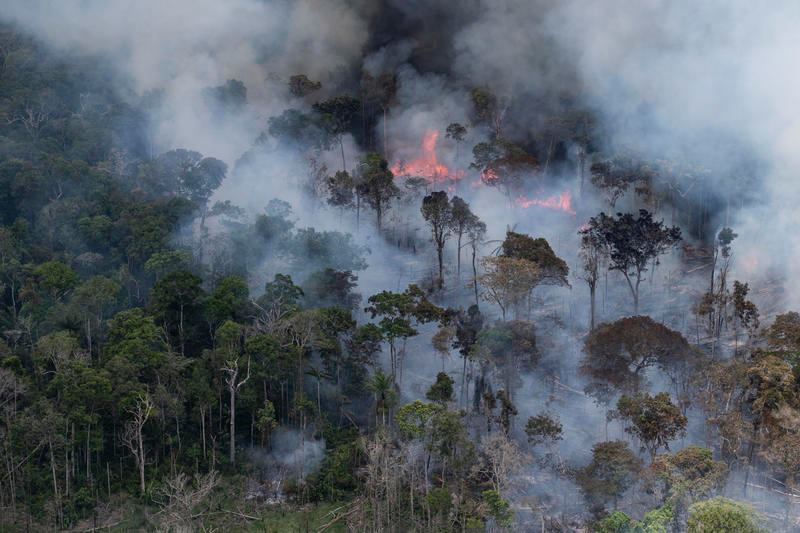 Skovbrande i Amazonas