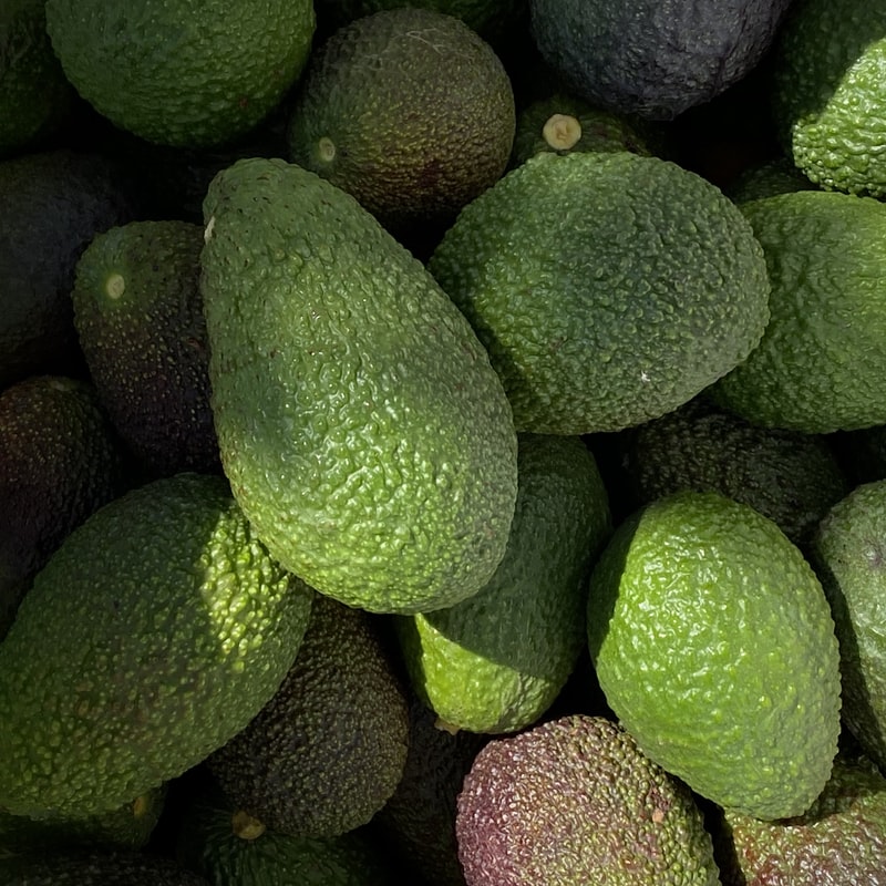 avocado
