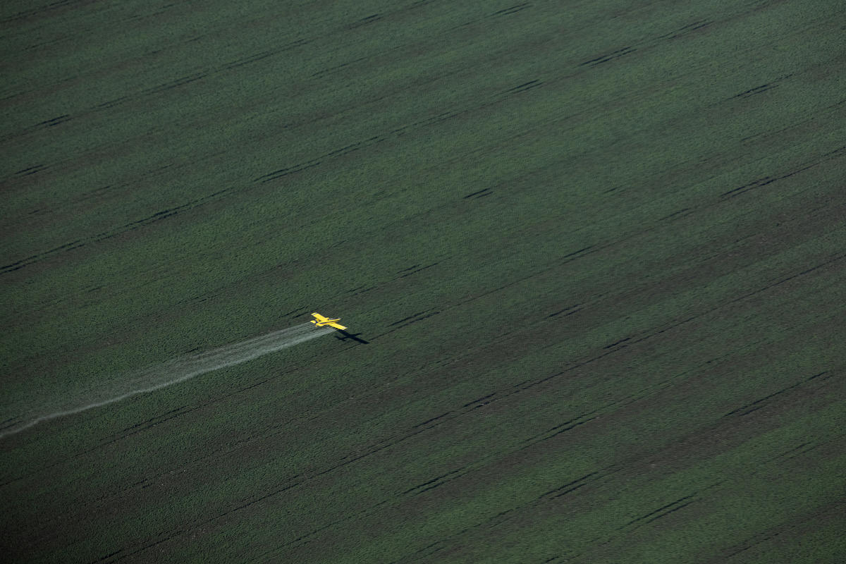 Soya Production in the Cerrado Region, Brazil. © Marizilda Cruppe / Greenpeace